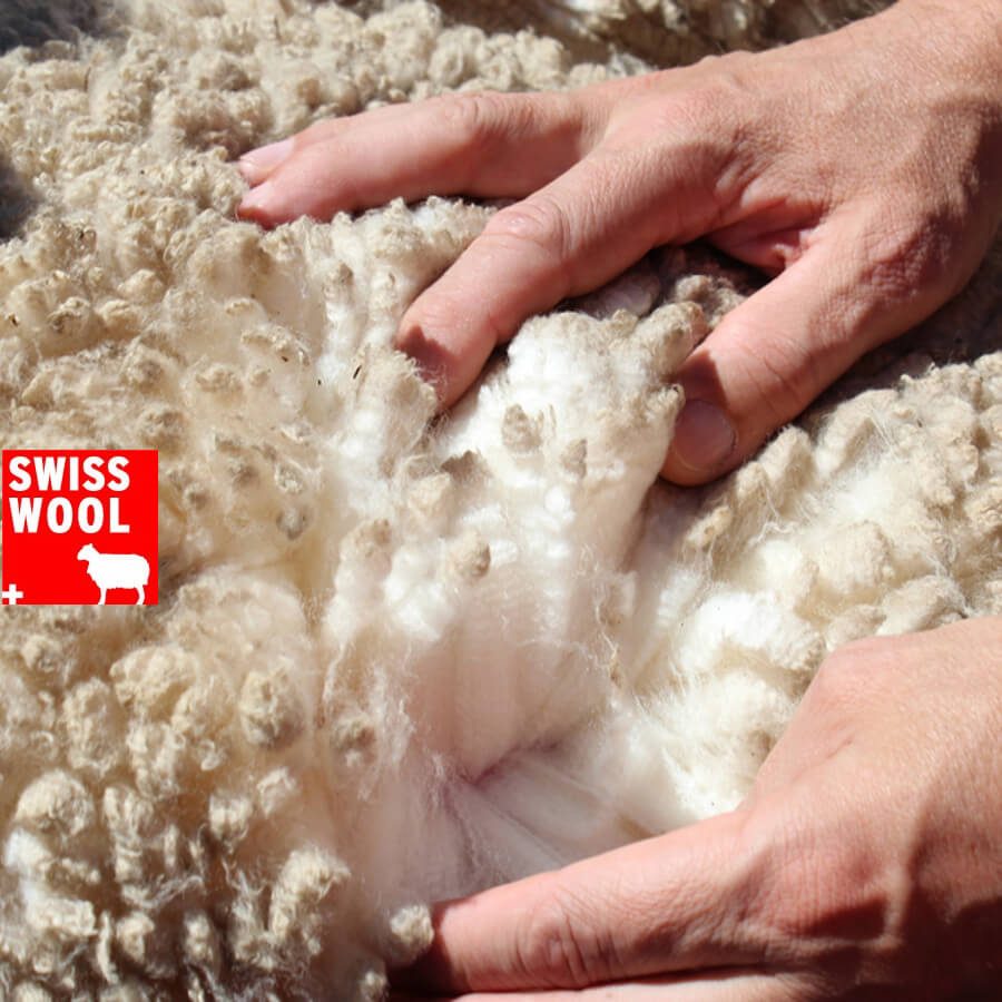 ORTOVOX_swisswool_Lana_Merino-05-Deportes-Koala-Madrid-Montaña-Trekking-Alpinismo